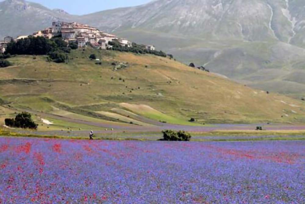 I Viaggi di Eidos - La Sibilla Castelluccio di Norcia