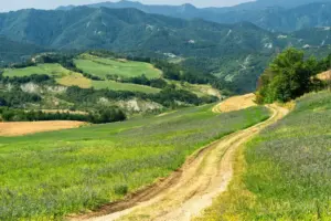 Paesaggio a Bagno di Romagna